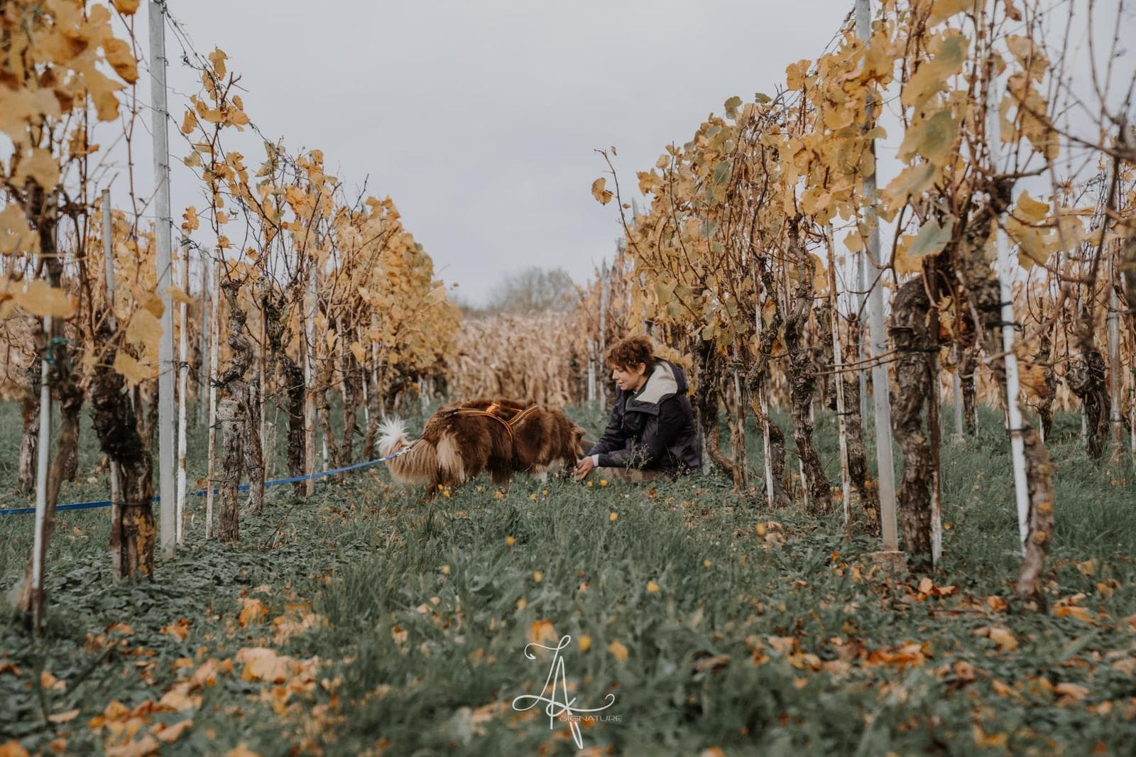 Camille KNAB accroupie près de son chien, dans les vignes